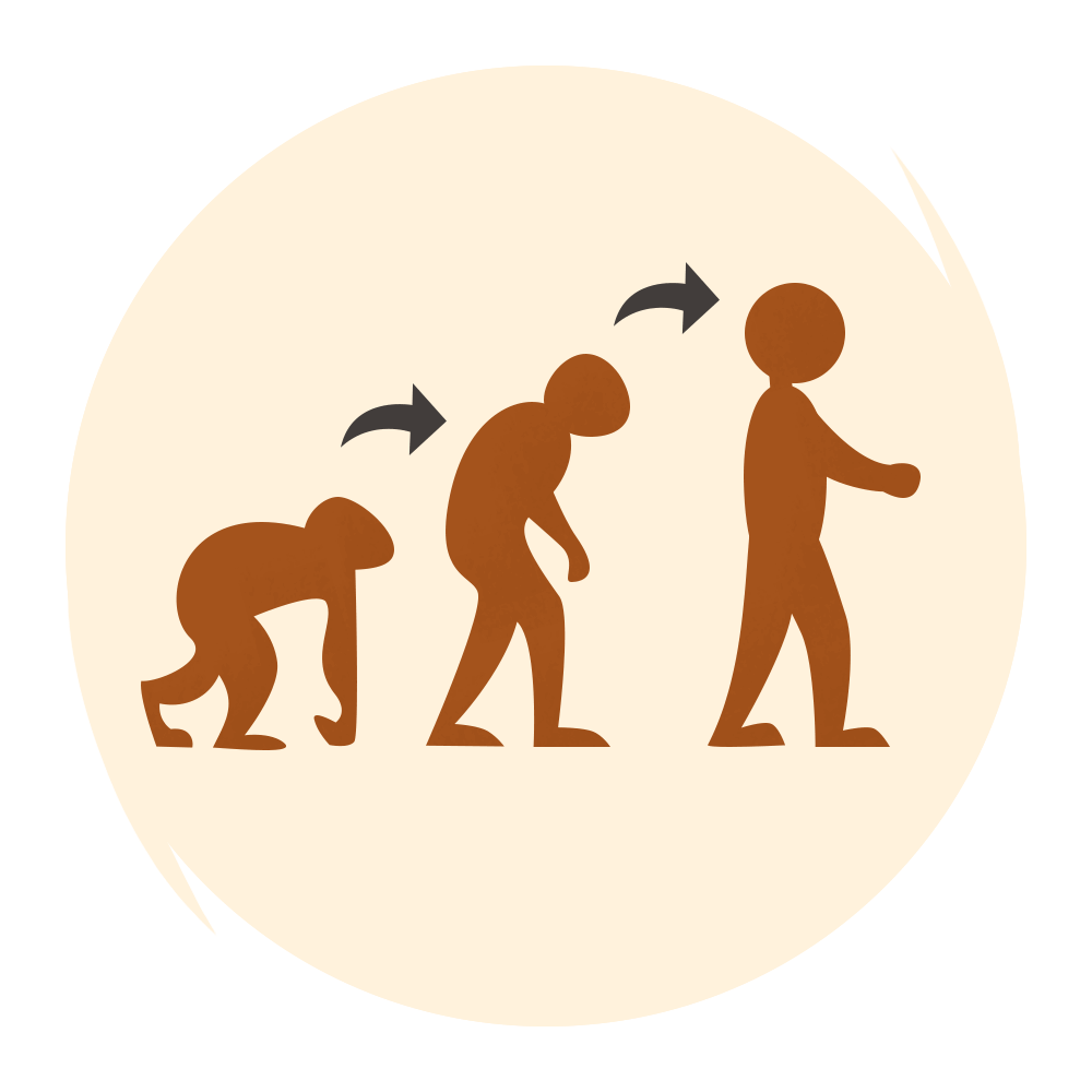 Evolution Meaning In Bengali Evolution In Bengali U Dictionary English Offline