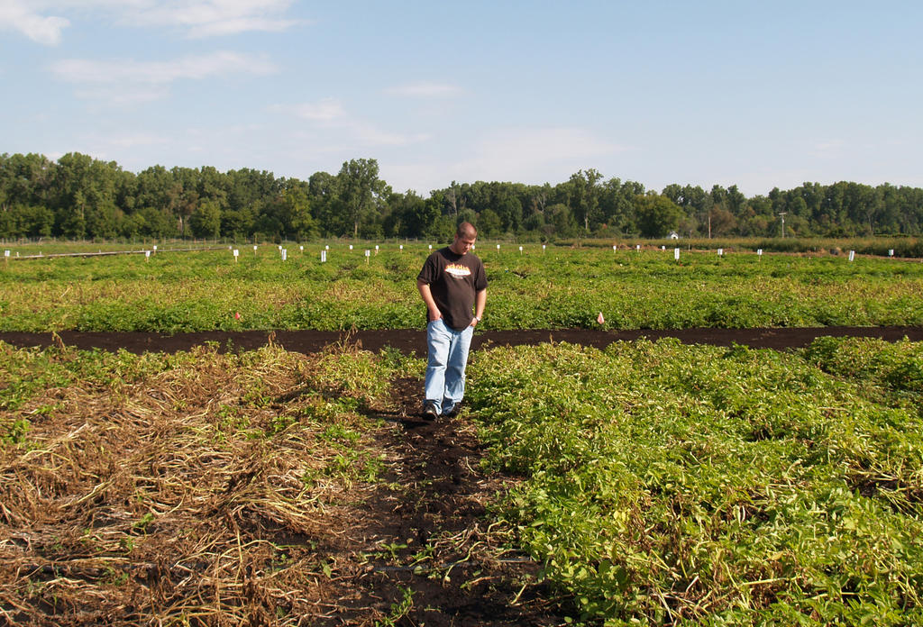 【muck】什么意思_英语muck的翻译_音标_读