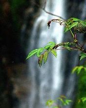 龙门峡谷 龙门峡谷