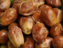 在伊拉克,枣椰被成为“绿色金子” 在伊拉克,枣椰被成为“绿色金子”