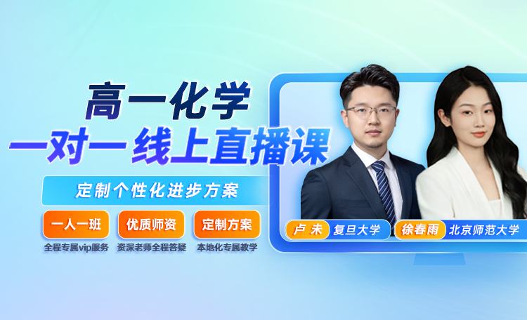 【高一化学】专属1对1规划（限时0.1元）